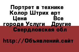 Портрет в технике “Колор-Штрих-арт“ › Цена ­ 250-350 - Все города Услуги » Другие   . Свердловская обл.
